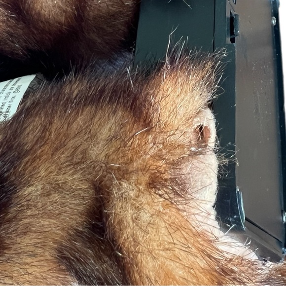 Gemmy Caddyshack Singing Dancing Gopher Plush Toy 2000 13.5” - Picture 12 of 15